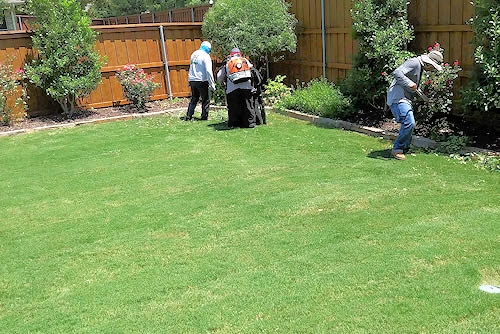 Lawn Care Dallas